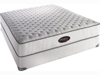 Stengel Plush